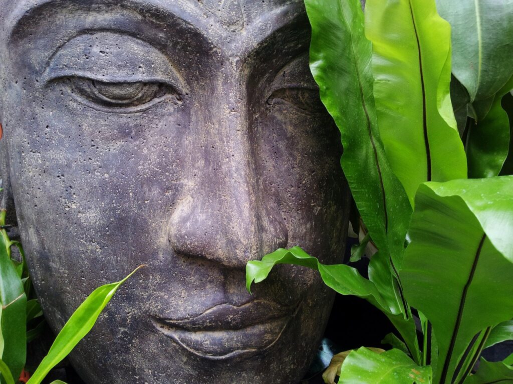 zen, buddha purnima, buddha-178992.jpg